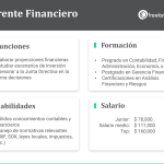 funciones y responsabilidades que hace un financista en una empresa